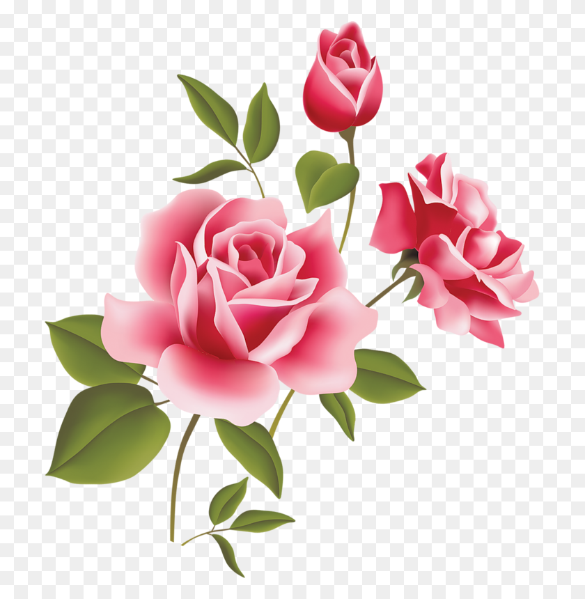 711x800 Inicial Decoupage - Pink Rose PNG