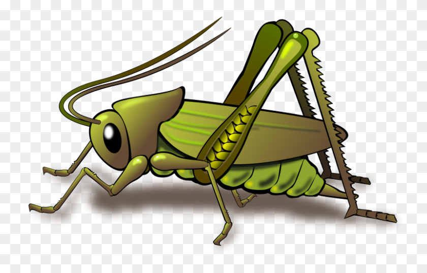 800x490 Insect Clip Art Library Free Download On Unixtitan - Firefly Clipart Black And White
