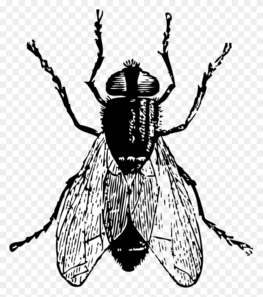 2108x2400 Insect Clip Art Library Free Download On Unixtitan - Free Bug Clipart