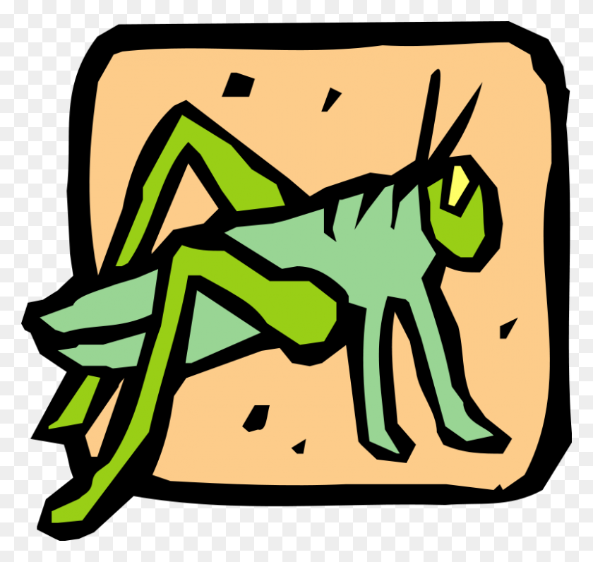 800x755 Insect Free Vector - Pest Control Clipart