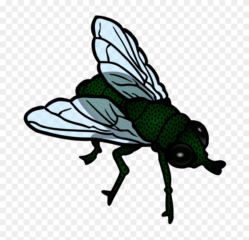 734x750 Insect Housefly Flight Download - Free Insect Clipart