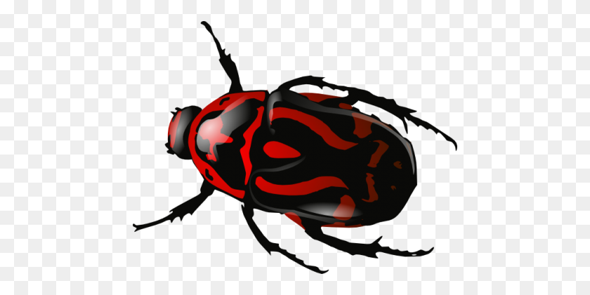 462x360 Insecto Cucaracha - Cucaracha Png
