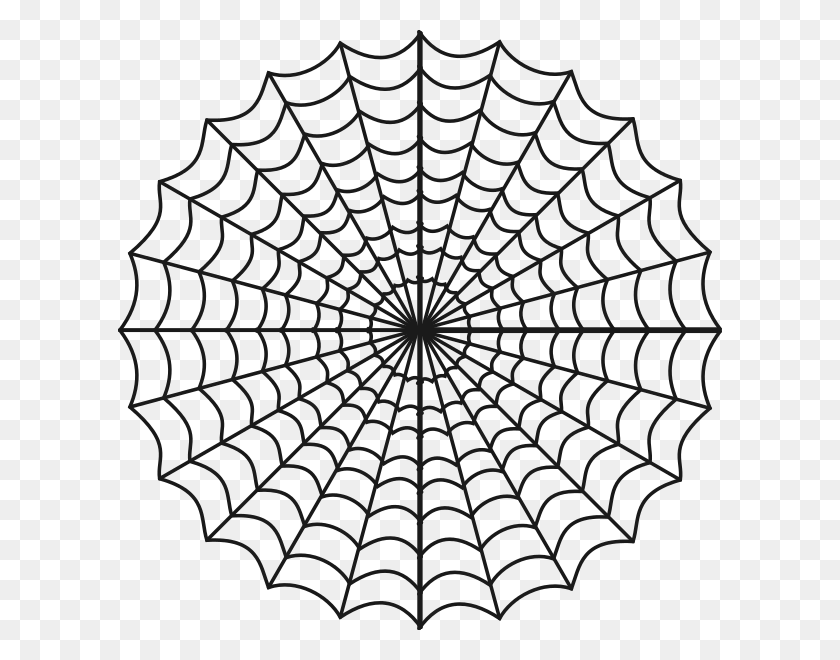 604x600 Insects - Spiderweb PNG