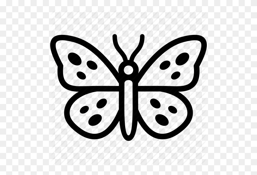 512x512 Insects' - Butterfly Outline PNG