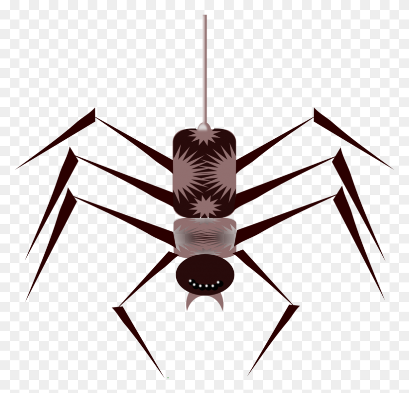 783x750 Los Insectos Y Arañas Insectos Y Arañas Verdaderos Errores Arañas - Errores Png