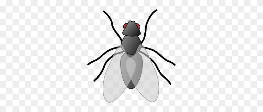282x298 Insects Clip Art - Ant Clipart Black And White