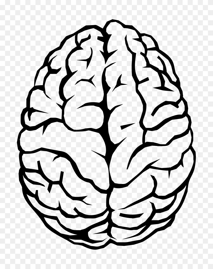 778x1000 Интеллектуальный Клипарт Человеческий Мозг - Умный Мозг Клипарт