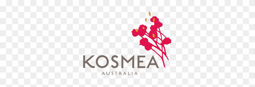 304x228 International Countries Kosmea Ship Products To Kosmea - Scars PNG