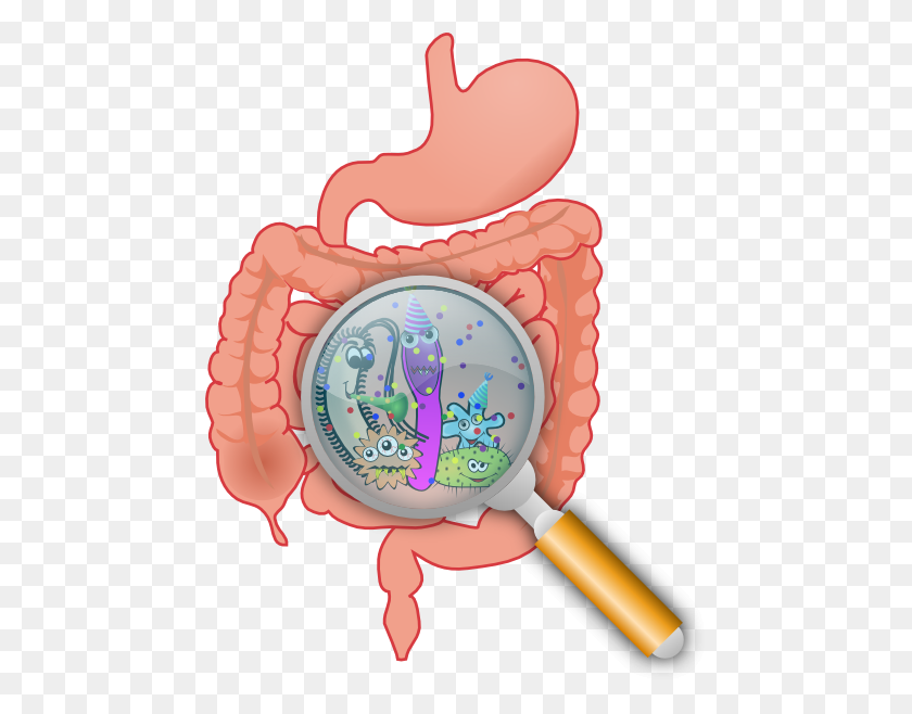 462x598 Intestinal Bacteria Clip Art - Diarrhea Clipart