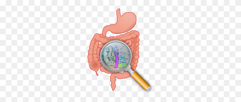 229x297 Intestinal Bacteria Clip Art - Intestine Clipart