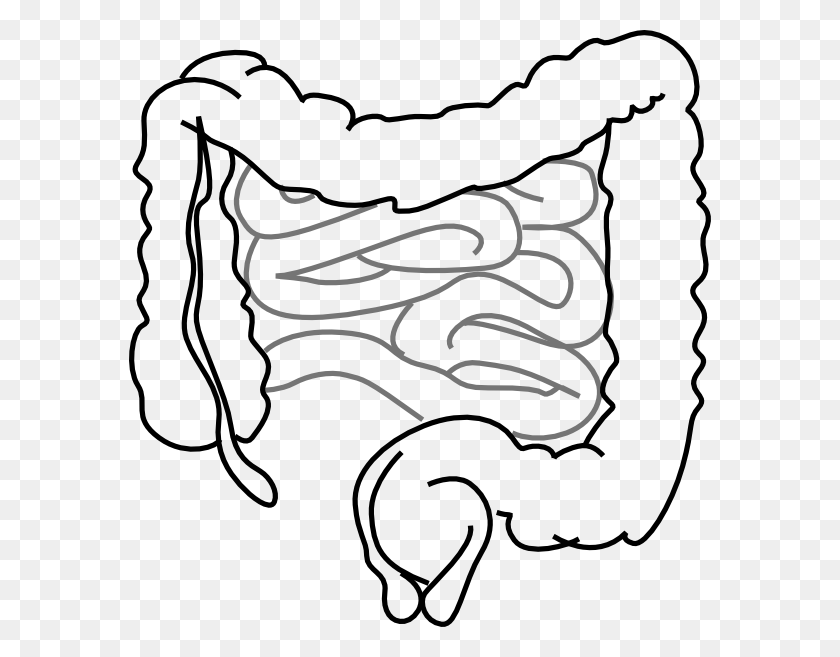 582x597 Intestinal Clipart - Pickle Clipart Black And White