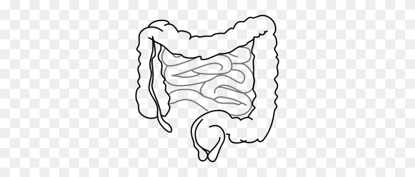 291x299 Intestines Clip Art - Small Intestine Clipart