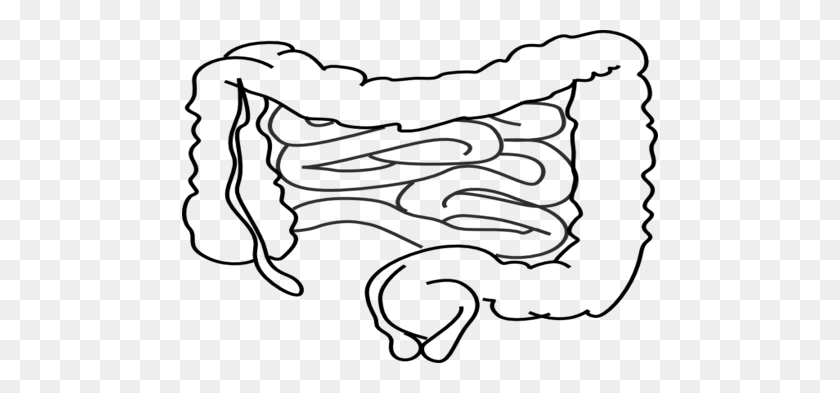 476x333 Intestines Coloring Page, Stomach And Intestines Coloring - Small Intestine Clipart