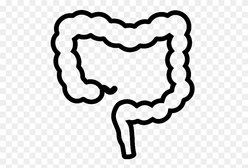 512x512 Intestines, Medical, Organ Icon With Png And Vector Format - Intestine Clipart
