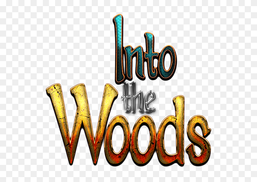 600x536 Into The Woods - Woods PNG