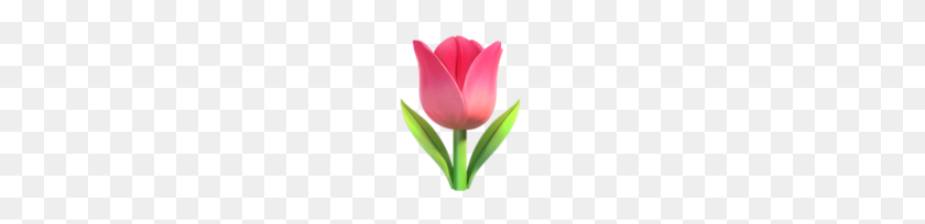 144x144 Iphone Emoji Цветы Тюльпан - Цветок Emoji Png