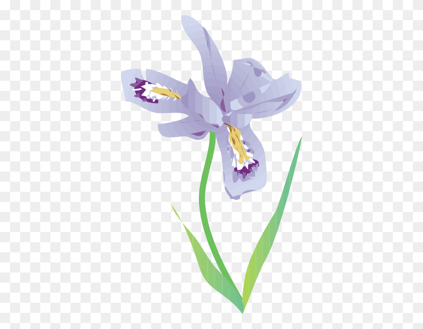 360x592 Iris Flower Clip Art Free - Orchid Clipart