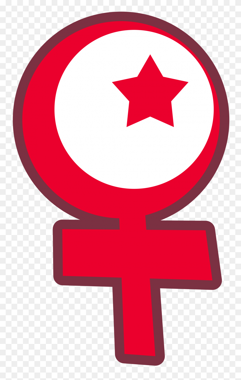 2000x3248 Символ Исламского Феминизма - Феминизм Png