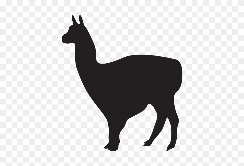 512x512 Isolated Llama Animal - Llama PNG