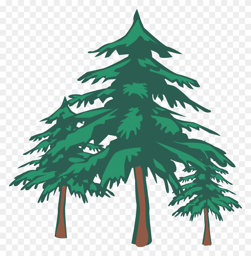 2987x3056 Вопрос, Сколько Деревьев На Земле В Октябре - Лесные Деревья Png