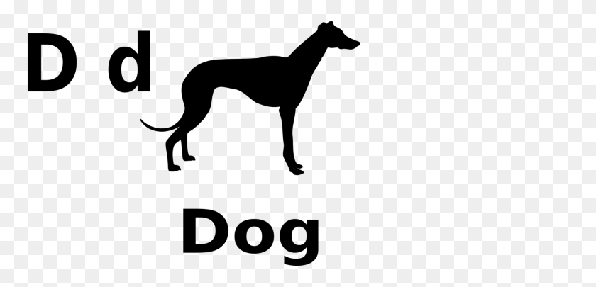 1693x750 Galgo Italiano Greyhound Lines Silueta De Greyhound Canadá Gratis - Greyhound Clipart