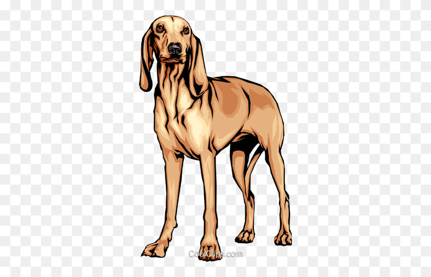 298x480 Italian Hound Royalty Free Vector Clip Art Illustration - Bloodhound Clipart