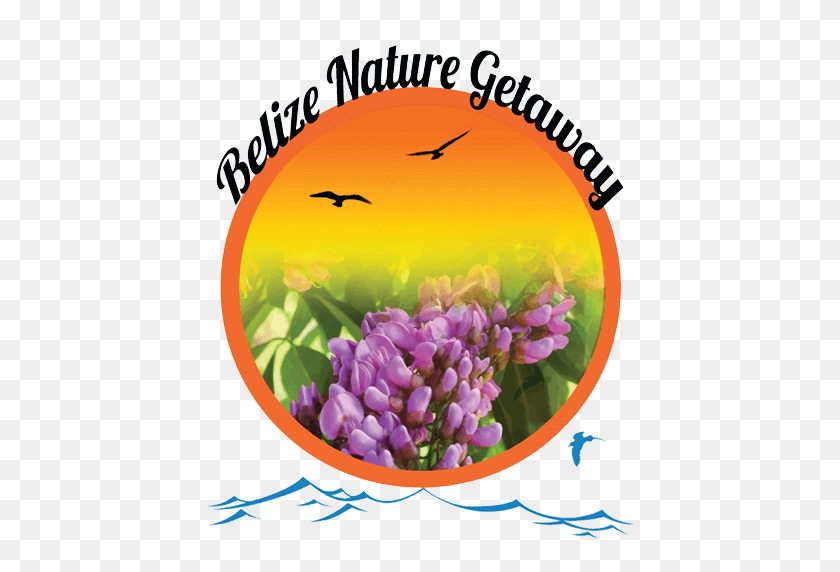 512x512 Itineraries Belize Nature Getaway - River Tubing Clipart