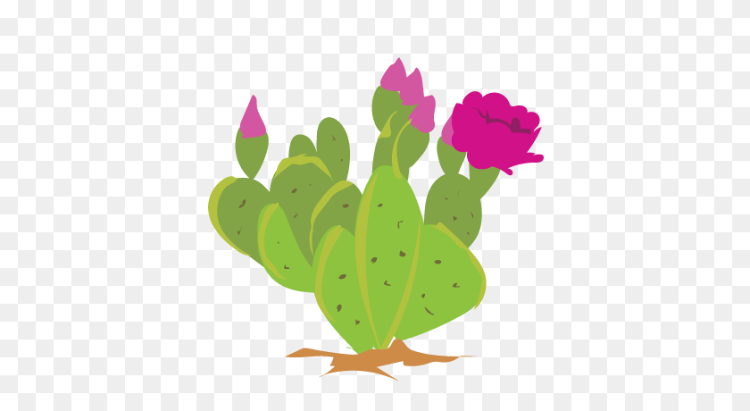 Feb - Prickly Pear Cactus Clipart - Stunning free transparent png clipart i...