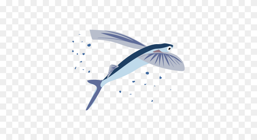 400x400 ¡Es La Semana Del Pescado En Inaturalist! Febrero - Clipart De Pez Volador