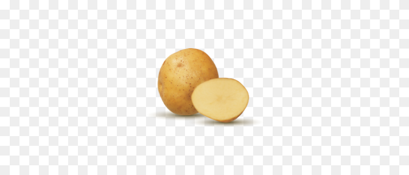 300x300 It's Potato Season! Sizzleworks - Potatoes PNG