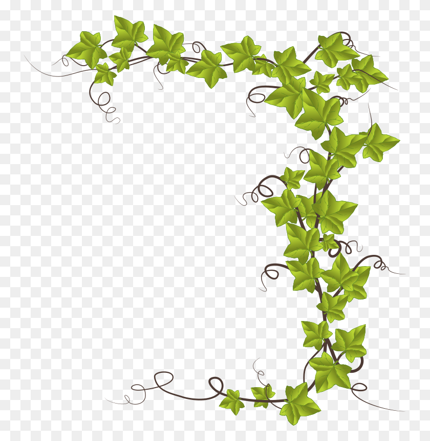 748x800 Ivy - Poison Ivy Clipart
