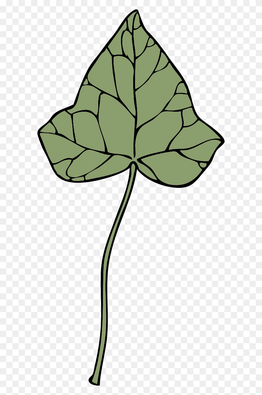 600x1206 Ivy Leaf Clip Art - Chrysanthemum Clipart