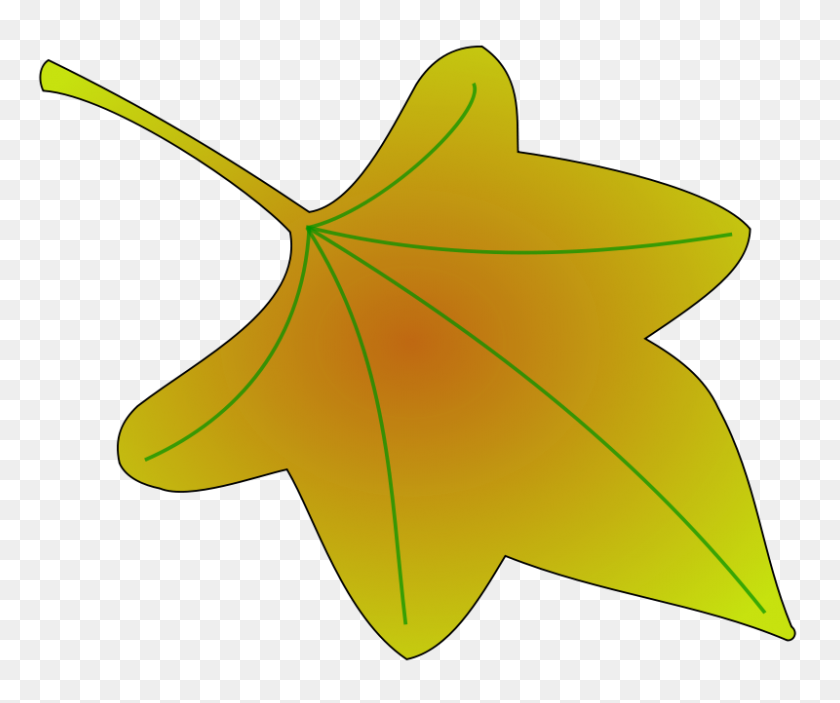 800x660 Ivy Leaf Clip Art - Creeper Clipart