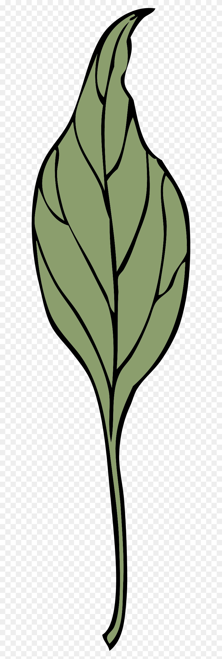 600x2430 Ivy Leaf Clip Art - Ivy Clipart
