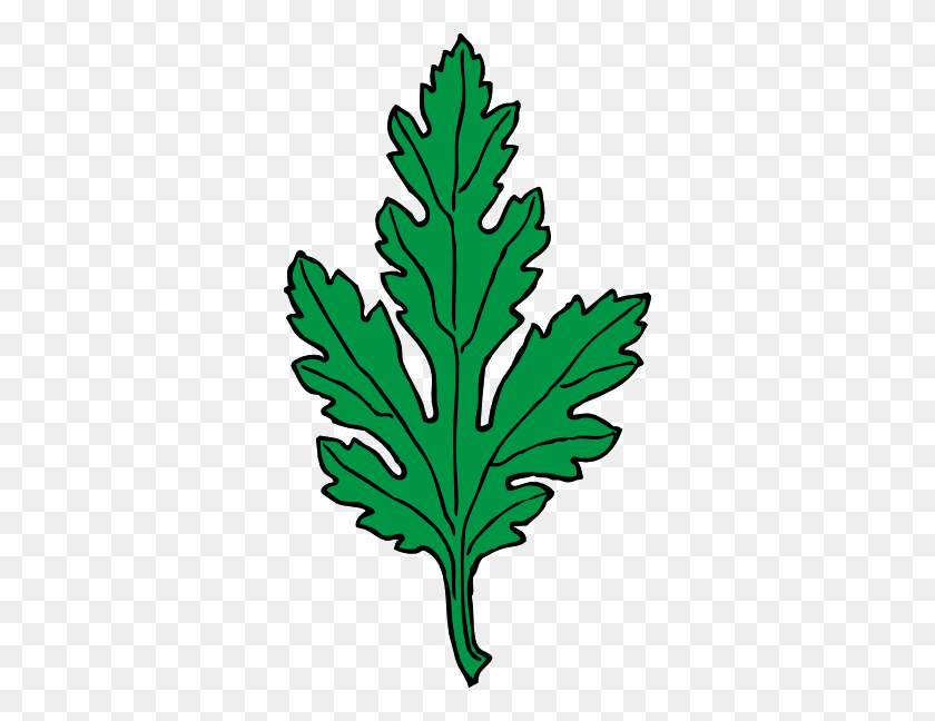 330x588 Ivy Leaf Green Chrysanthemum Clip Art Free Vector - Chrysanthemum Clipart