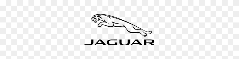 250x150 Jaguar Logo The Eye Emporium - Jaguar Logo PNG