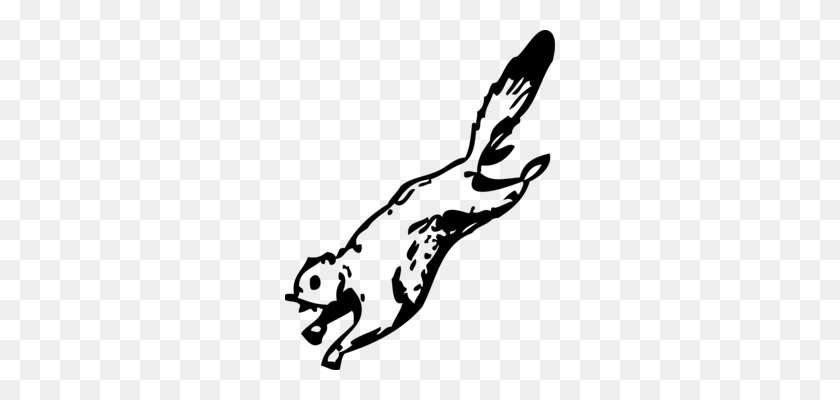 270x340 Japanese Dwarf Flying Squirrel Flight Sugar Glider - Glider Clipart