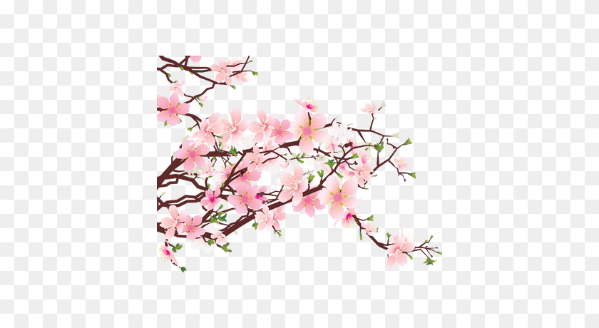 400x400 Japanese Flower Png Png Image - Cherry Tree PNG