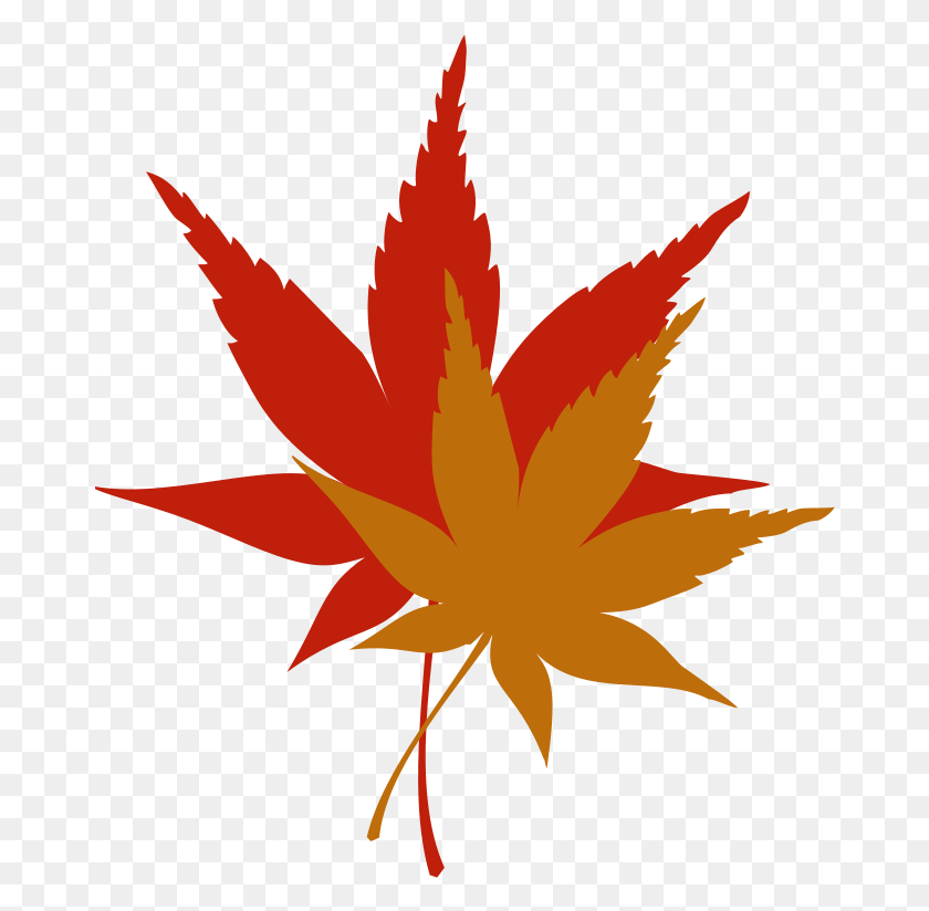 670x764 Japanese Maple Leaf Free Clip - Thanksgiving Leaves Clipart