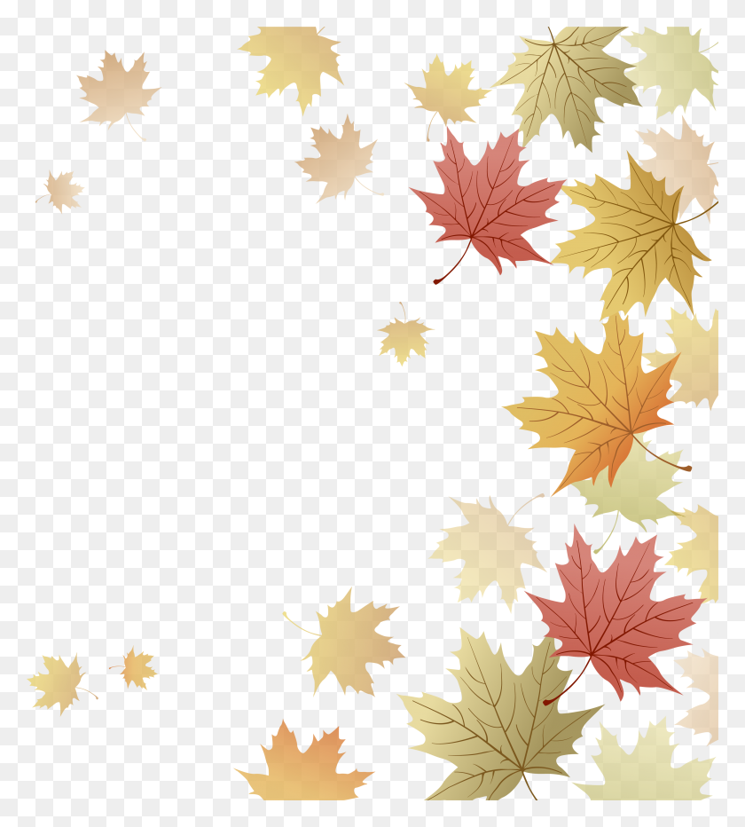 3574x4000 Japanese Maple Red Maple Maple Leaf Autumn - Japanese Maple PNG