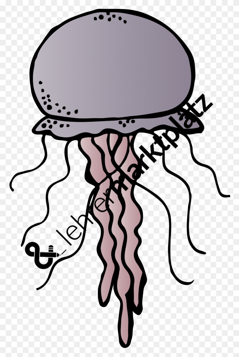 800x1225 Jellyfish Clipart Melonheadz - Jellyfish Clipart
