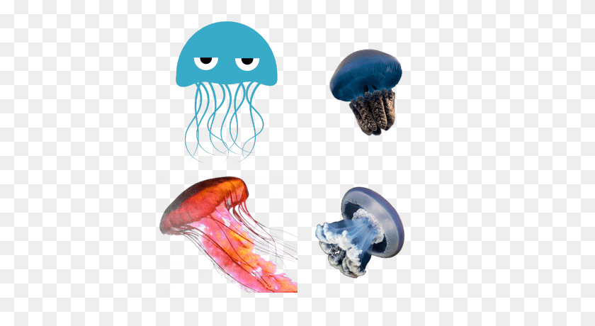 400x400 Jellyfish Transparent Png Images - Jellyfish PNG