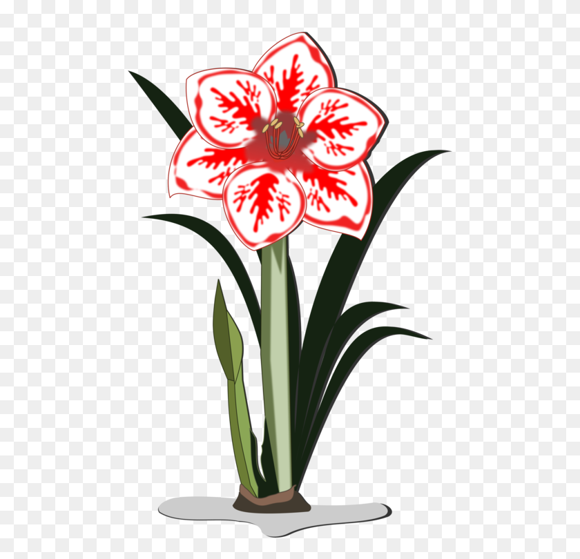750x750 Jersey Lily Floral Design Flower Raster Graphics Amaryllis Free - Lily Flower Clipart