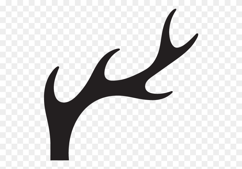 536x528 Job Application For Producer - Deer Antlers Clipart Black And White