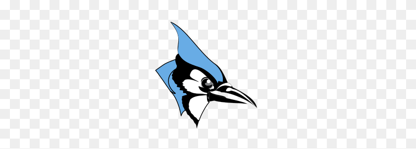 220x241 Johns Hopkins Blue Jays - Logotipo De Los Blue Jays Png