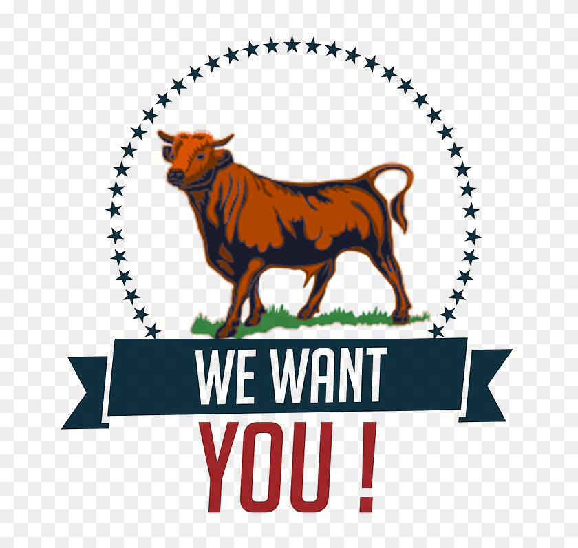 678x736 Join Sustain A Bull - Bull PNG