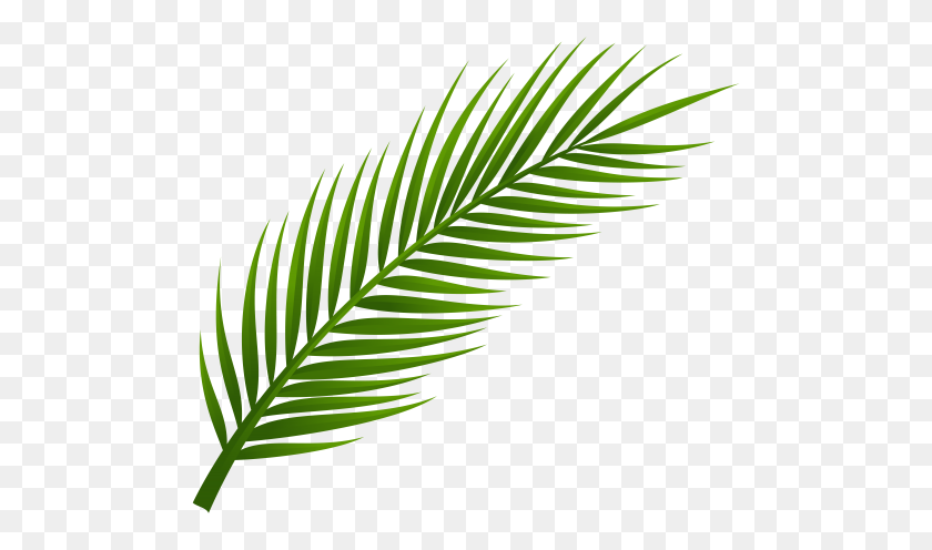 500x436 Jungle Baby Shower Palm Tree Leaves - Jungle Leaves Clipart