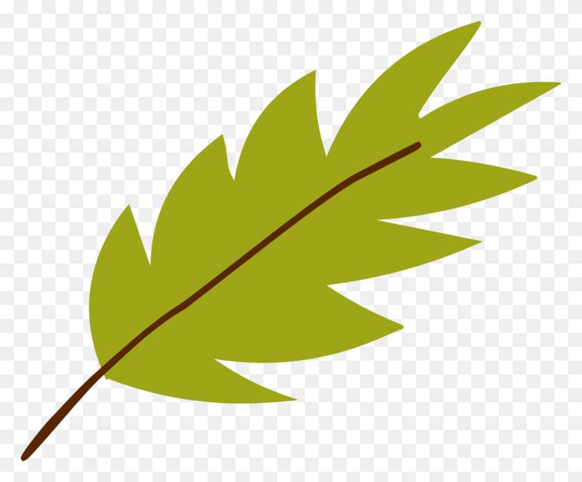1280x1043 Jungle Leaf - Jungle Leaves PNG