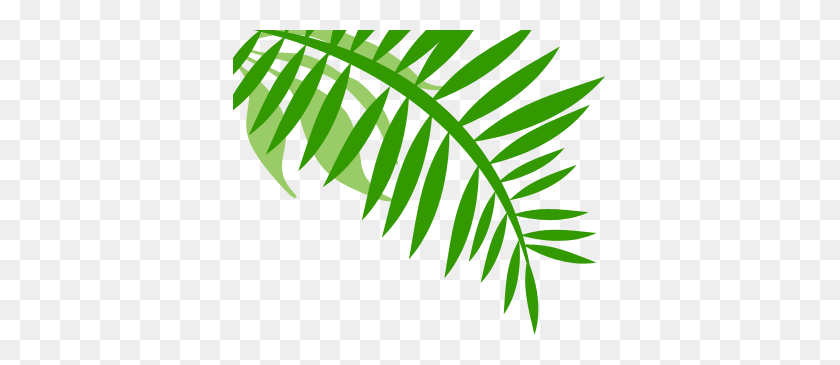 373x305 Клипарт Джунгли Растение - Тропический Лесной Клипарт