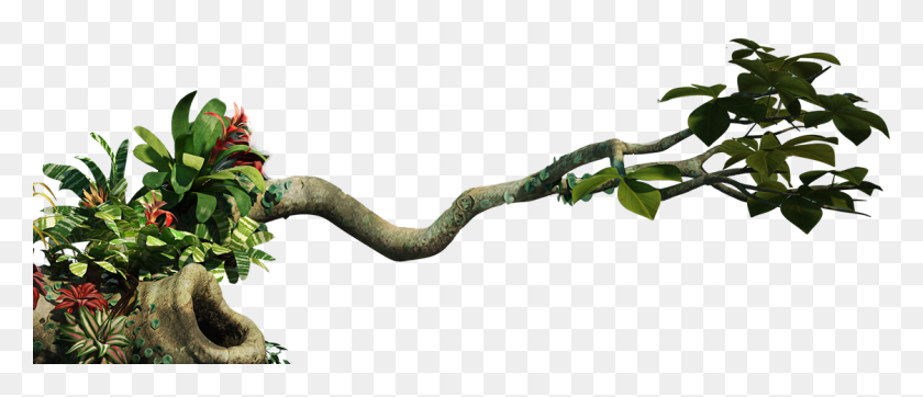 1122x435 Jungle Png Clipart - Branches PNG
